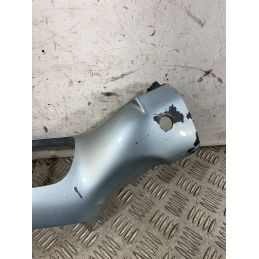 Carena Portastrumentazione Piaggio Free 50 Dal 1992 al 2003  1762419882415