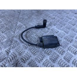 Bobina Centralina Gilera Runner 50 SP Dal 1999 al 2005  1762420303442