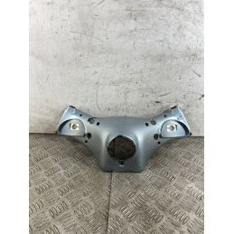 Carena Portafaro Anteriore Piaggio Free 50 Dal 1992 al 2003  1762420758884