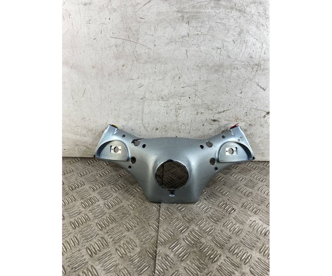 Carena Portafaro Anteriore Piaggio Free 50 Dal 1992 al 2003  1762420758884