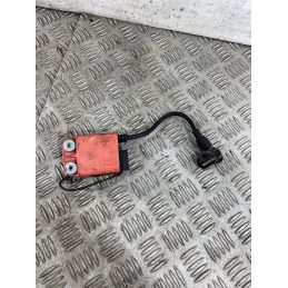 Bobina Accensione Piaggio Free 50 Dal 1992 al 2003  1762423621185