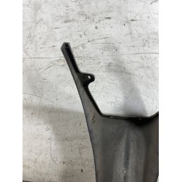 Carena Portatarga Piaggio Free 50 Dal 1992 al 2003  1762424467218