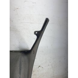 Carena Portatarga Piaggio Free 50 Dal 1992 al 2003  1762424467218