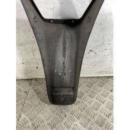 Carena Portatarga Piaggio Free 50 Dal 1992 al 2003  1762424467218