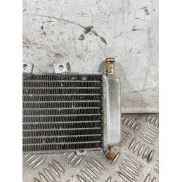 Radiatore Acqua Gilera Runner 50 SP Dal 1999 al 2005  1762503680378