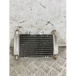 Radiatore Acqua Gilera Runner 50 SP Dal 1999 al 2005  1762503680378