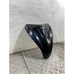 Carena Scudetto Anteriore Honda Vision 50 / 110 dal 2011 al 2017  1762766127566