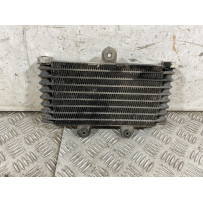 Radiatore Olio Suzuki XF 650 Freewind Dal 1997 al 2003 Cod F8T34471  1762784549098