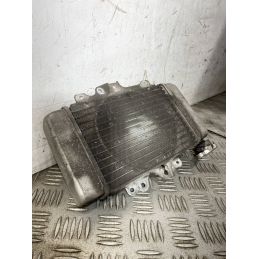 Radiatore Acqua Honda SH 150 Dal 2009 al 2012  1762937166332