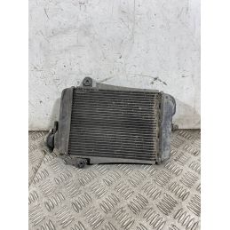 Radiatore Acqua Honda SH 300 Dal 2006 al 2010  1763034040051