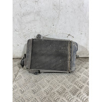 Radiatore Acqua Honda SH 300 Dal 2006 al 2010  1763034040051