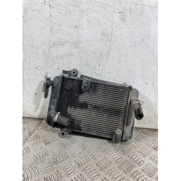 Radiatore Acqua Honda SH 300 Dal 2006 al 2010  1763034040051