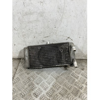 Radiatore Acqua Yamaha X-Max XMax 250 IE Dal 2010 al 2013  1763110254570