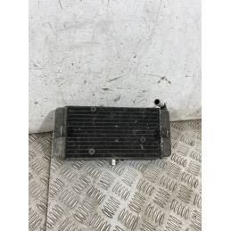 Radiatore Acqua Yamaha X-Max XMax 250 IE Dal 2010 al 2013  1763110254570