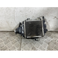 Radiatore Piaggio Vespa GTS 125 SUPER Dal 2021 al 2025  1763114270033