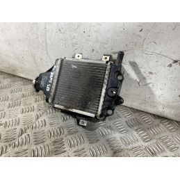 Radiatore Piaggio Vespa GTS 125 SUPER Dal 2021 al 2025  1763114270033