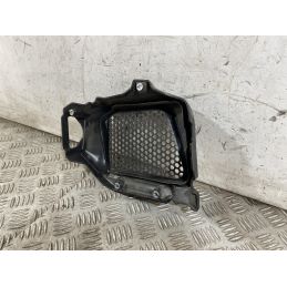 Carena Griglia Radiatore Piaggio Vespa GTS 125 SUPER Dal 2021 al 2025  1763116548611