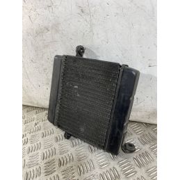 Radiatore Acqua Honda Foresight 250 dal 1998 al 2004  1763379032339