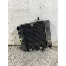 Radiatore Acqua Honda Foresight 250 dal 1998 al 2004  1763379032339