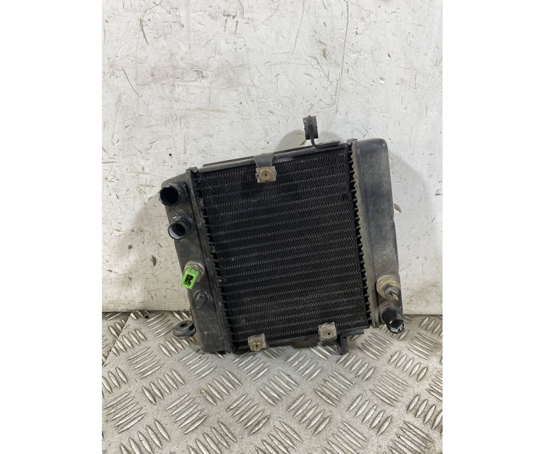 Radiatore Acqua Honda Foresight 250 dal 1998 al 2004  1763379032339