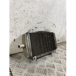 Radiatore Acqua Piaggio Vespa GT 200 L Dal 2003 al 2006  1763379339520