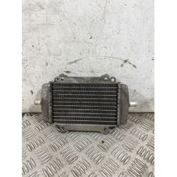 Radiatore Acqua Piaggio Vespa GT 200 L Dal 2003 al 2006  1763379839433