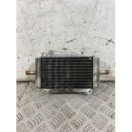 Radiatore Acqua Piaggio Vespa GTS 300 ABS Dal 2014 Al 2016  1763392565937