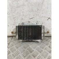 Radiatore Acqua Piaggio Vespa GTS 300 ABS Dal 2014 Al 2016  1763392565937