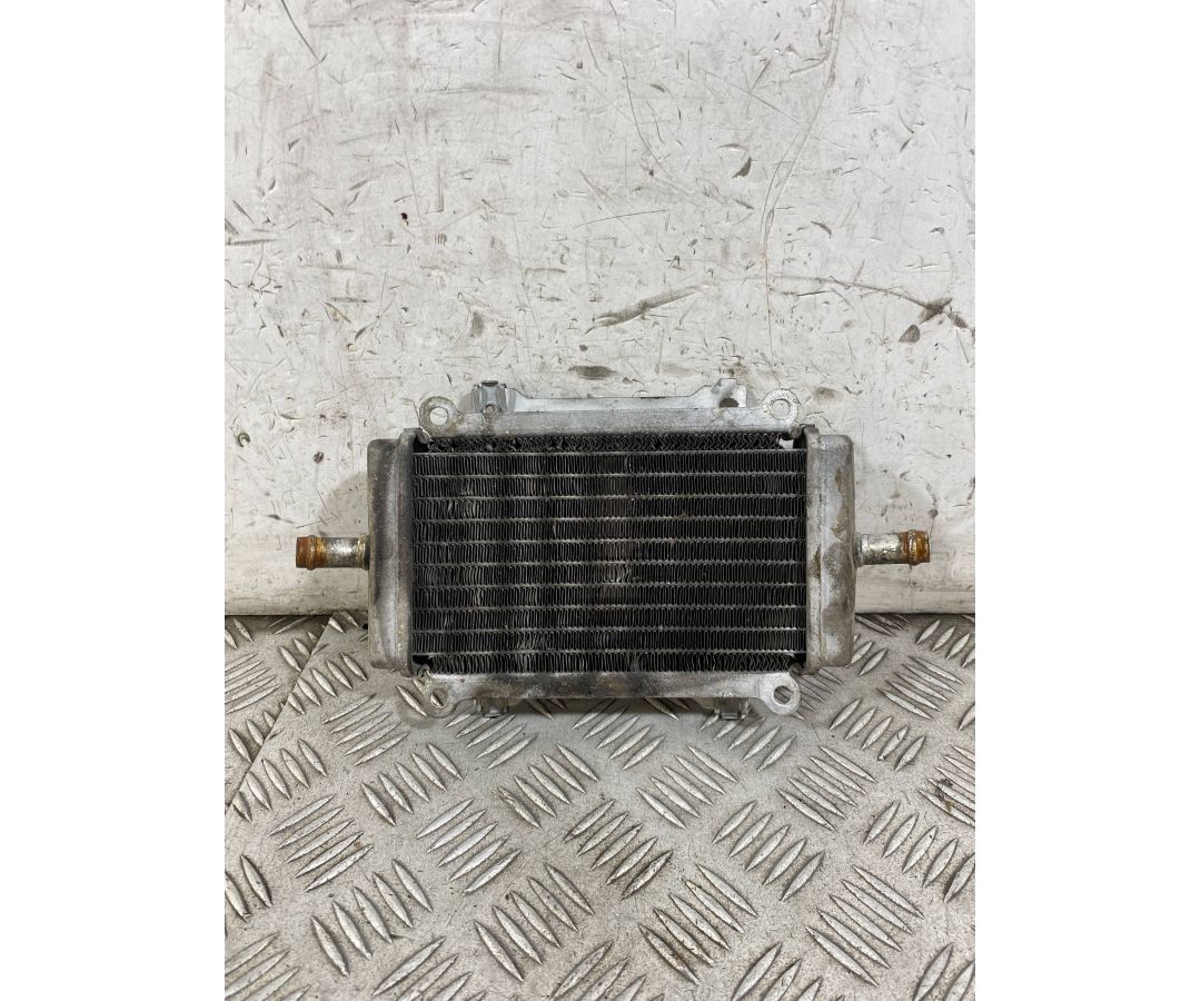 Radiatore Acqua Piaggio Vespa GTS 300 ABS Dal 2014 Al 2016  1763392565937