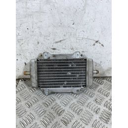 Radiatore Acqua Piaggio Vespa GTS 300 ABS Dal 2014 Al 2016  1763392565937