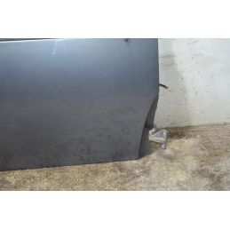 Portiera Sportello Anteriore DX Volkswagen New Beetle Dal 1999 al 2010 Cod 1C0831052N  1763455134377