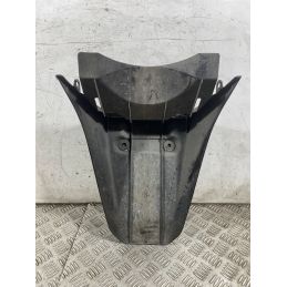 Carena Portatarga Honda Silver Wing 400 / 600 dal 2001 al 2009  1763476055446