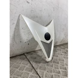 Carena Scudetto Anteriore Aprilia SR Max 300 dal 2011 al 2014  1763480495955