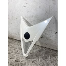 Carena Scudetto Anteriore Aprilia SR Max 300 dal 2011 al 2014  1763480495955