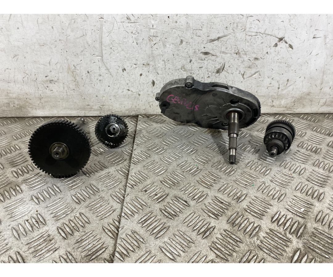 Pacco Ingranaggi trasmissione Peugeot Geopolis 250 dal 2005 al 2012  1763559405014