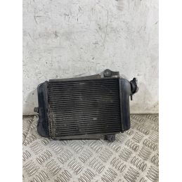 Radiatore Acqua Honda SH 300 Dal 2006 al 2010  1763722238456