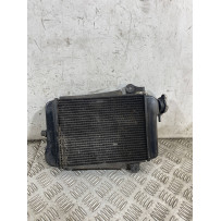 Radiatore Acqua Honda SH 300 Dal 2006 al 2010  1763722238456