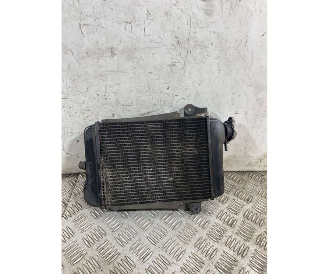 Radiatore Acqua Honda SH 300 Dal 2006 al 2010  1763722238456