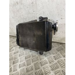 Radiatore Acqua Honda SH 300 Dal 2006 al 2010  1763722238456