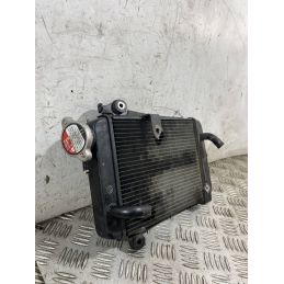 Radiatore Acqua Honda SH 300 Dal 2006 al 2010  1763722238456