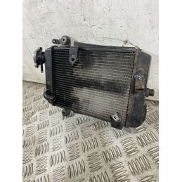 Radiatore Acqua Honda SH 300 Dal 2006 al 2010  1763722238456