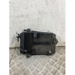Radiatore Acqua Honda SH 300 Dal 2006 al 2010  1763722238456