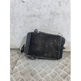 Radiatore Acqua Honda SH 300 Dal 2006 al 2010  1763723021880
