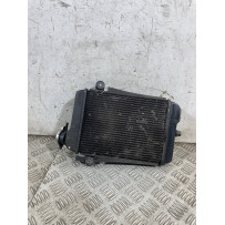 Radiatore Acqua Honda SH 300 Dal 2006 al 2010  1763723021880