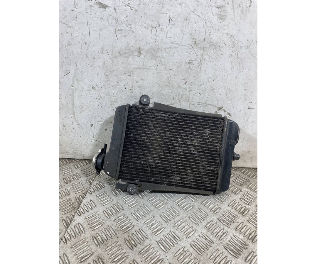Radiatore Acqua Honda SH 300 Dal 2006 al 2010  1763723021880