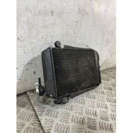 Radiatore Acqua Honda SH 300 Dal 2006 al 2010  1763723021880