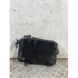 Radiatore Acqua Honda SH 300 Dal 2006 al 2010  1763723021880