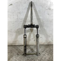 Forcella Sym HD EVO 200 dal 2011 al 2016  1763725360703