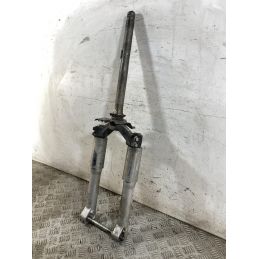 Forcella Piaggio Liberty 200 RST dal 2004 al 2008  1763731503859