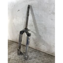 Forcella Piaggio Liberty 200 RST dal 2004 al 2008  1763731503859
